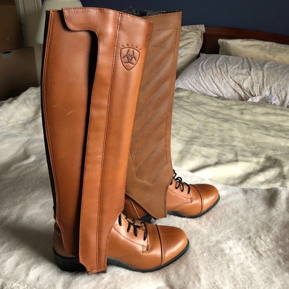 Ariat English Riding Boots w/ Half Chaps - Size 6 - Picture 4 of 7